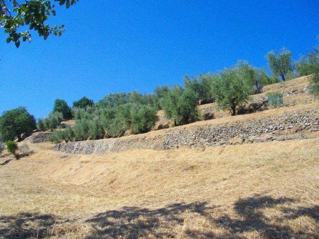 Agriturismo Terrarossa Пістоя Екстер'єр фото